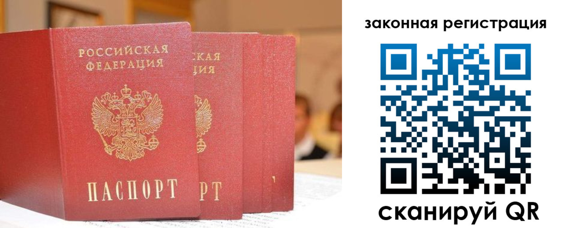прописка поиск в Архангельске